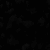 Các vai phụ khác