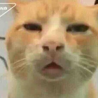 Tác giả cute