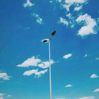 đa nv