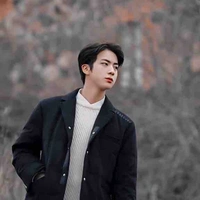 Seokjin- mẹ hắn