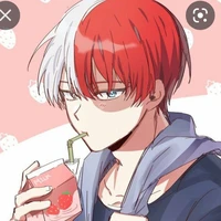 Todoroki shouto