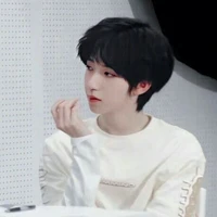 Hạ Tuấn Lâm