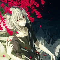 accelerator