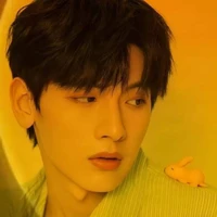 giản dương/Sunflower/CK