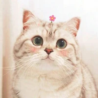 Cả lớp