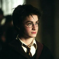 Harry Potter (Henry)