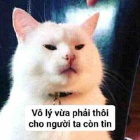 Ai đó
