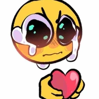 Y/N