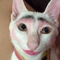 Tuyết linh/hanako yushirou