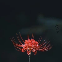 All