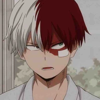 Todoroki Shouto