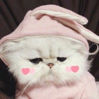 tác giả cute