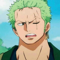 Zoro đầu tảo:))🌳