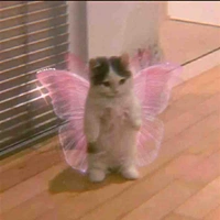 Tác giải zô ziên