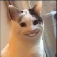 đũy tác giả đẹp zai