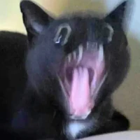 Nhân vật phụ đa chức năng (´⊙ω⊙`)