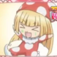 cusu cusu