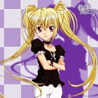 utau hoshino-mina-maki