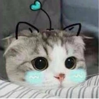 nv nhiều vai
