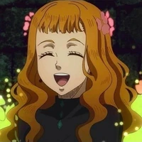 mimosa