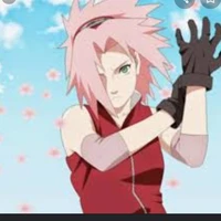 sakura