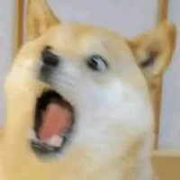 cờ hó