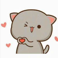 Pé Heo Con
