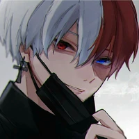 Todoroki Shouto