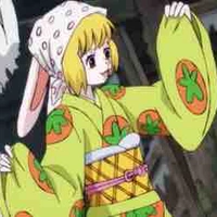 Carrot