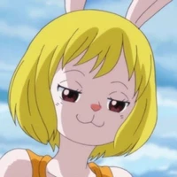 Carrot