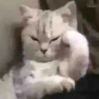 all