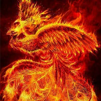 Bạch Hoàng Linh (hình phượng hoàng )