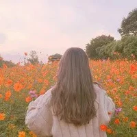 🌸HAN AMI🌸