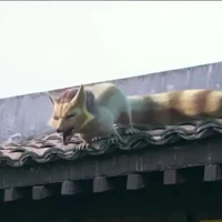 Hoa hồ điêu