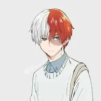 Shoto Todoroki