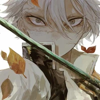 Shinazugawa Sanemi