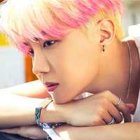 Jeon Hoseok-jhope (Hobi)