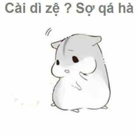 Tác Giả