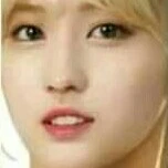 MoMo
