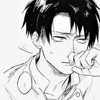 Levi 