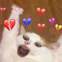 Tác giả 🌸