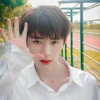 Đồng Ngải Giai