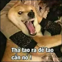 tác giả