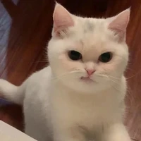 tg