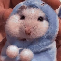 TG cute phô mai que