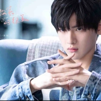 Giản Dương/CK_Sunflower