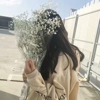 Lee SoHee
