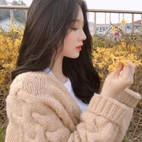 Ha Mina