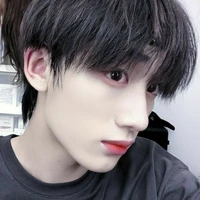 Đinh Trình Hâm