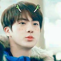 Kim SeokJin